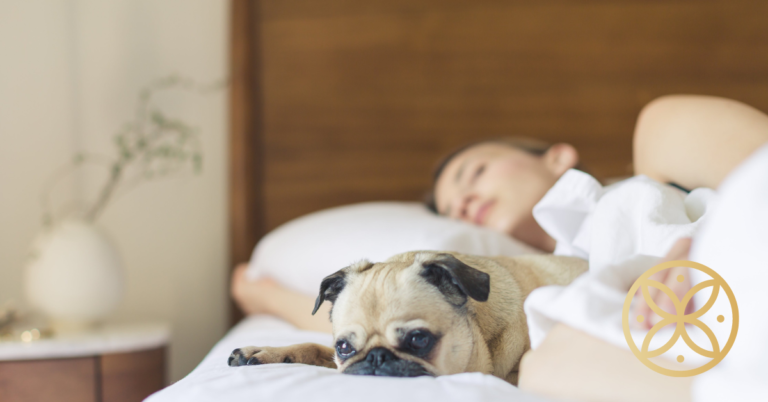 Plushbeds vs Naturepedic: One Is A Better Eco-Friendly Mattress